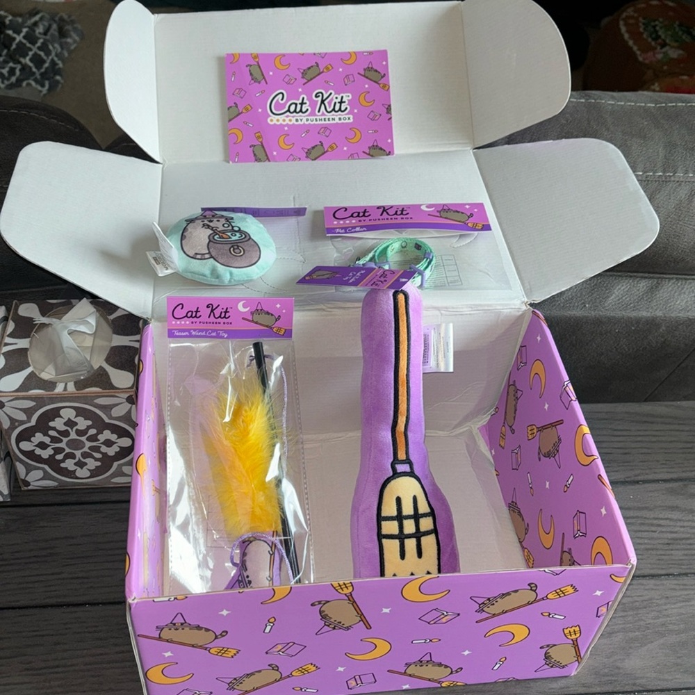 Pusheen Cat Box
